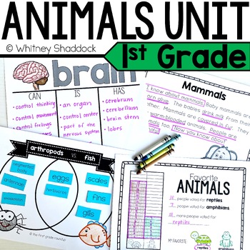 Preview of Animal Classification Unit with Animal Characteristics and Needs For Each Group