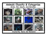 Classify & Categorize Animals (birds, fish, insects, inver