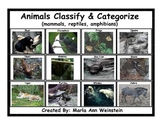 Classify & Categorize Animals (mammals, reptiles, amphibians)