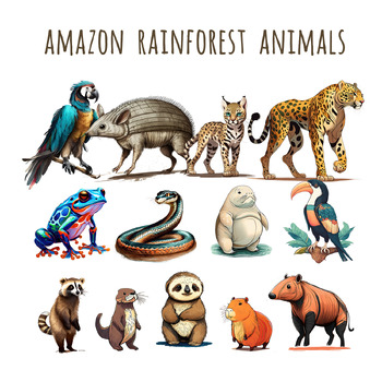 Animals Clip Art, Amazon Rainforest Animals, Incredible Amazon ...