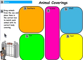 Preview of Animals Covering