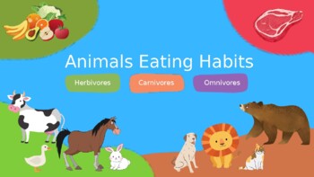 Animal Eating Habits Teaching Resources | TPT