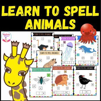 Animals Explore, color and write by Wafinity Ethan | TPT