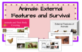 Animals- External Features and Survival