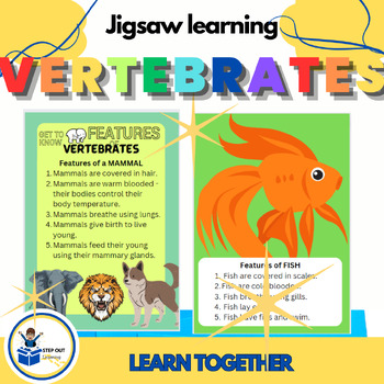 Preview of Animals: Features of Vertebrates: Group work/Jigsaw activity worksheets