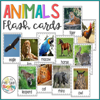 Preview of Animals Flash Cards with Real Pictures