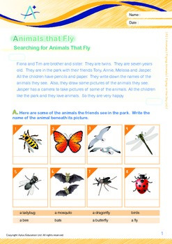 Animals - Flying Animals: Flying In The Sky (III) - Grade 2 | TPT