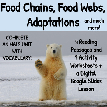 Preview of Food Chains and Food Webs Activity Worksheets + Printable and Digital Lesson