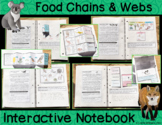 Food Chains and Food Webs Interactive Notebook - Animals