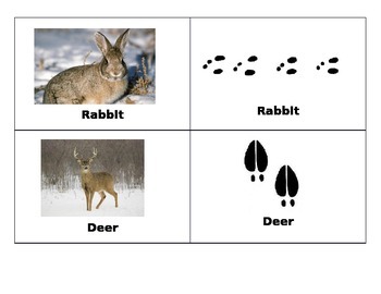 Preview of Animals Footprints Cards