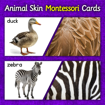 Preview of Animals Fur/Skin Matching Cards | Montessori Printable Activity