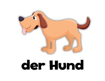Preview of Animals! German Flashcards