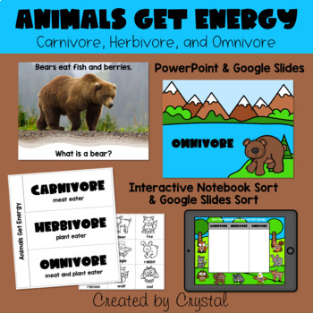 Preview of Animals Get Energy: Carnivore, Herbivore, & Omnivore 