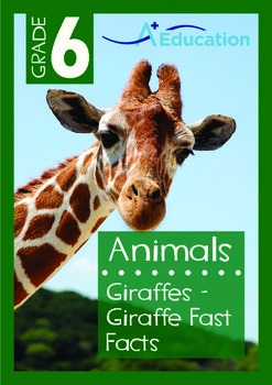 Preview of Animals - Giraffes: Giraffe Fast Facts - Grade 6