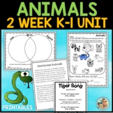 Animal Classification Habitats | Kindergarten | 1st Grade