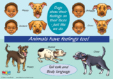Animals Have Feelings Too! Poster, English