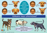 Animals Have Feelings Too! Poster, isiZulu
