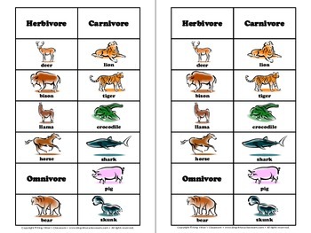 Animals: Herbivore, Omnivore, and Carnivore Venn Diagram #2 Pictures