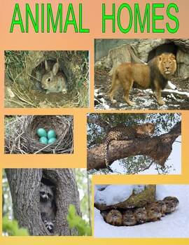 Animals And Their Shelter Teaching Resources | TPT