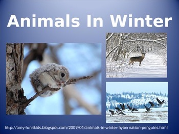Animals In Winter by PreK Owlet | Teachers Pay Teachers
