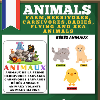 Preview of Animals Kingdom From Land to the Sea in French
