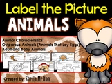 Animals Label the Picture (Characteristics, Oviparous, Adu