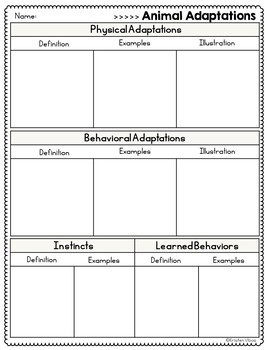 Animal Passages and Graphic Organizers | Adaptations, Food Chains and  Habitats