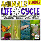 Animals Life Cycle : Life Science Reading Comprehension pa