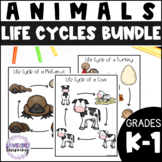 Life Cycles of Animals Bundles - Animal Life Cycles Worksheets