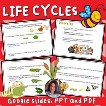 Preview of Animals Life Cycles {Google Slides} - Ms Marwa Tarek