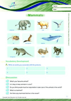 Animals - Mammals: A Description of Mammals - Grade 6 | TPT