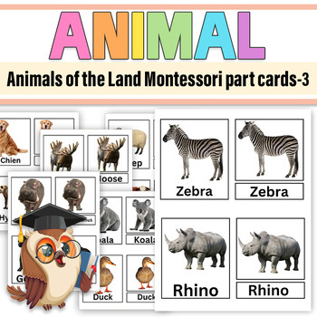 Preview of Animals Montessori 3-Part Cards  Land Animals, Animals of the Seven Continents