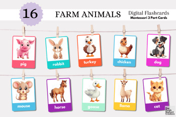 Preview of Animals Montessori Flashcards