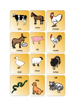 Animals Naming and Animal sounds choice board by Fishel | TpT