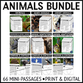 Animals Nonfiction Reading Comprehension Passages Bundle