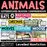 Animals Nonfiction Reading Passages - Differentiated