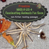 Animals Nonfiction Text for Reading Comprehension Freebie