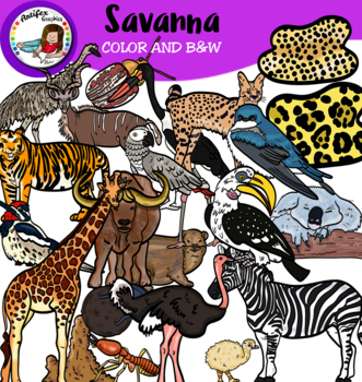 Savanna Animal Teaching Resources | TPT