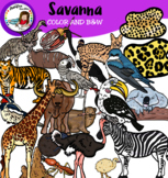 Animals Of The Savanna 2