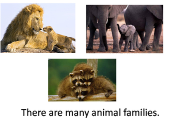 Preview of Animals & Parents Unit for Special education