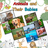Animals Parents and Their Offspring Babies. Flashcards Act