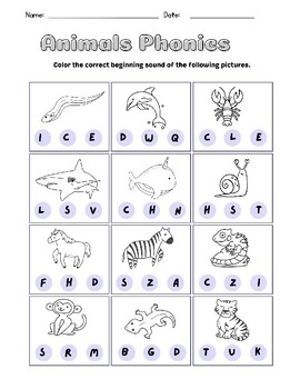 Animals Phonic Beginning Sound Kindergarten Worksheet by MJ MAY | TPT