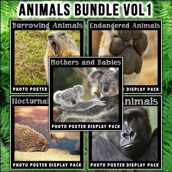 Preview of Animal Posters BUNDLE Vol 1  | Science Vocabulary | Wild | Endangered Animals