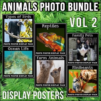Preview of Animal Posters BUNDLE Vol 2 | Science Vocabulary | Reptiles | Birds | Farm
