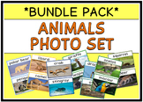 Animals Photo Set (BUNDLE PACK)