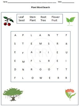 animals plants body and food worksheets for grade 1 by