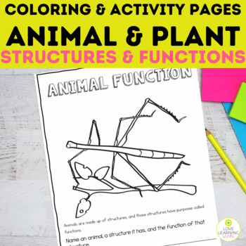 Preview of Animals Plants Structure Function Review Worksheets Early Finisher Work