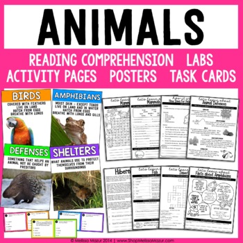 Preview of Animals Science Unit - Mammals, Amphibians, Reptiles, Birds, Fish, Insects