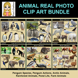 Animals Real Photo Clip Art Bundle