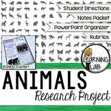 Animals Guided Research Project